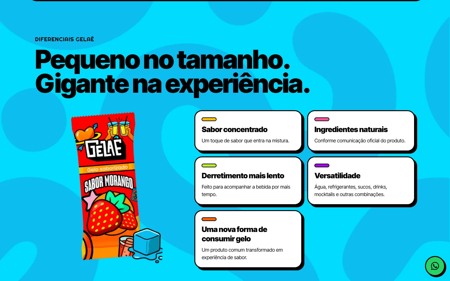 Seção “Pequeno no tamanho. Gigante na experiência.” com os diferenciais do produto
